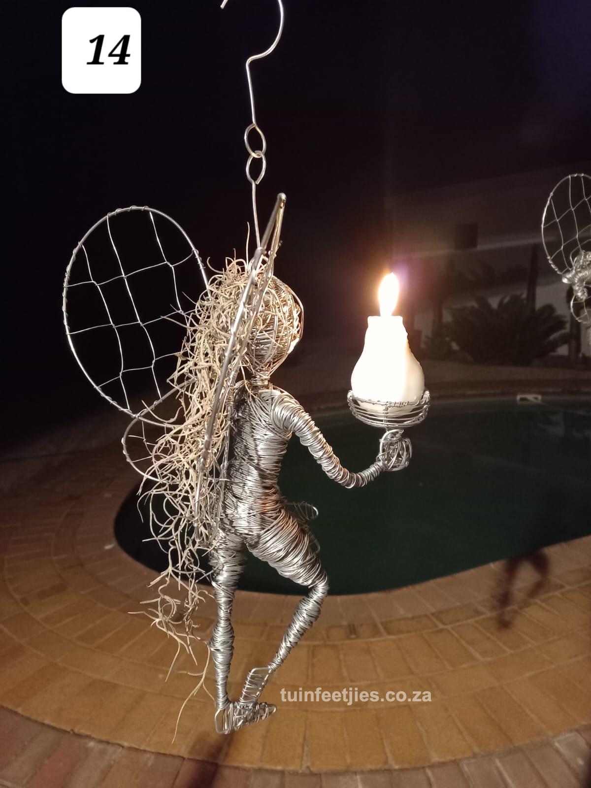 Garden Wire Ferry 14