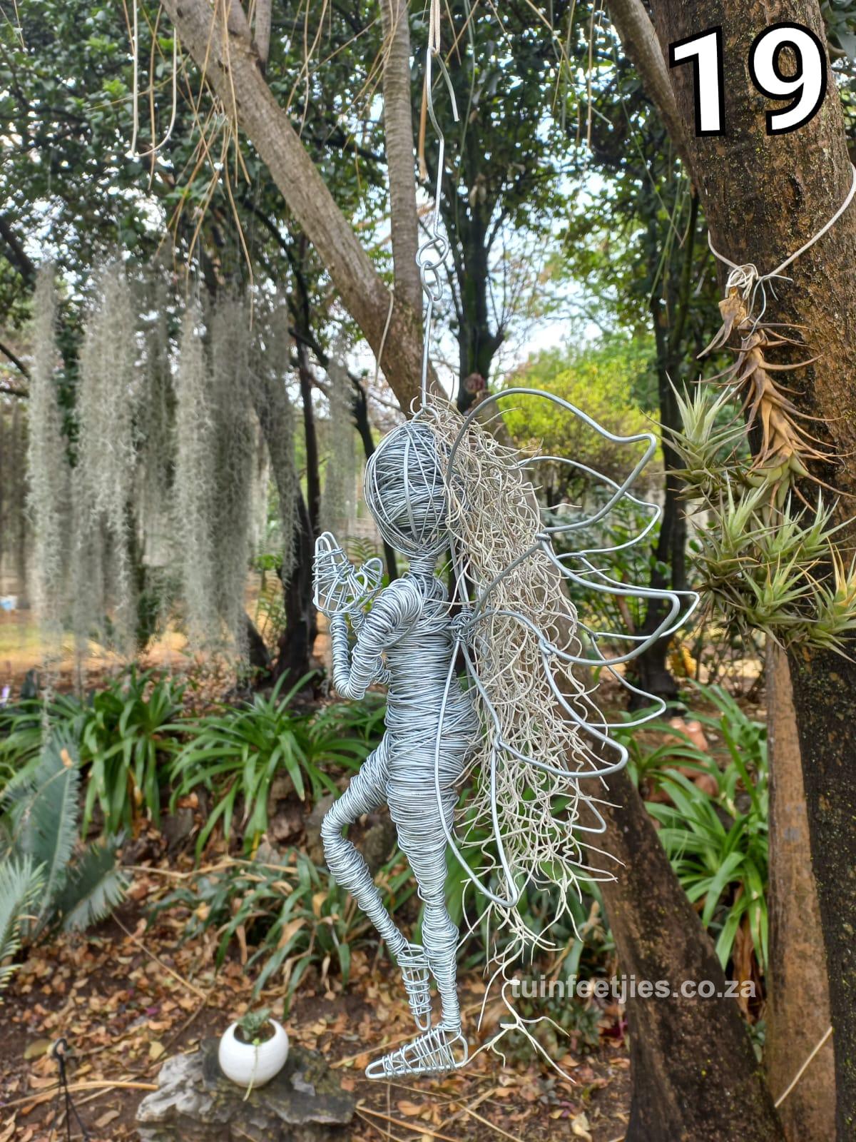 Garden Wire Ferry 19