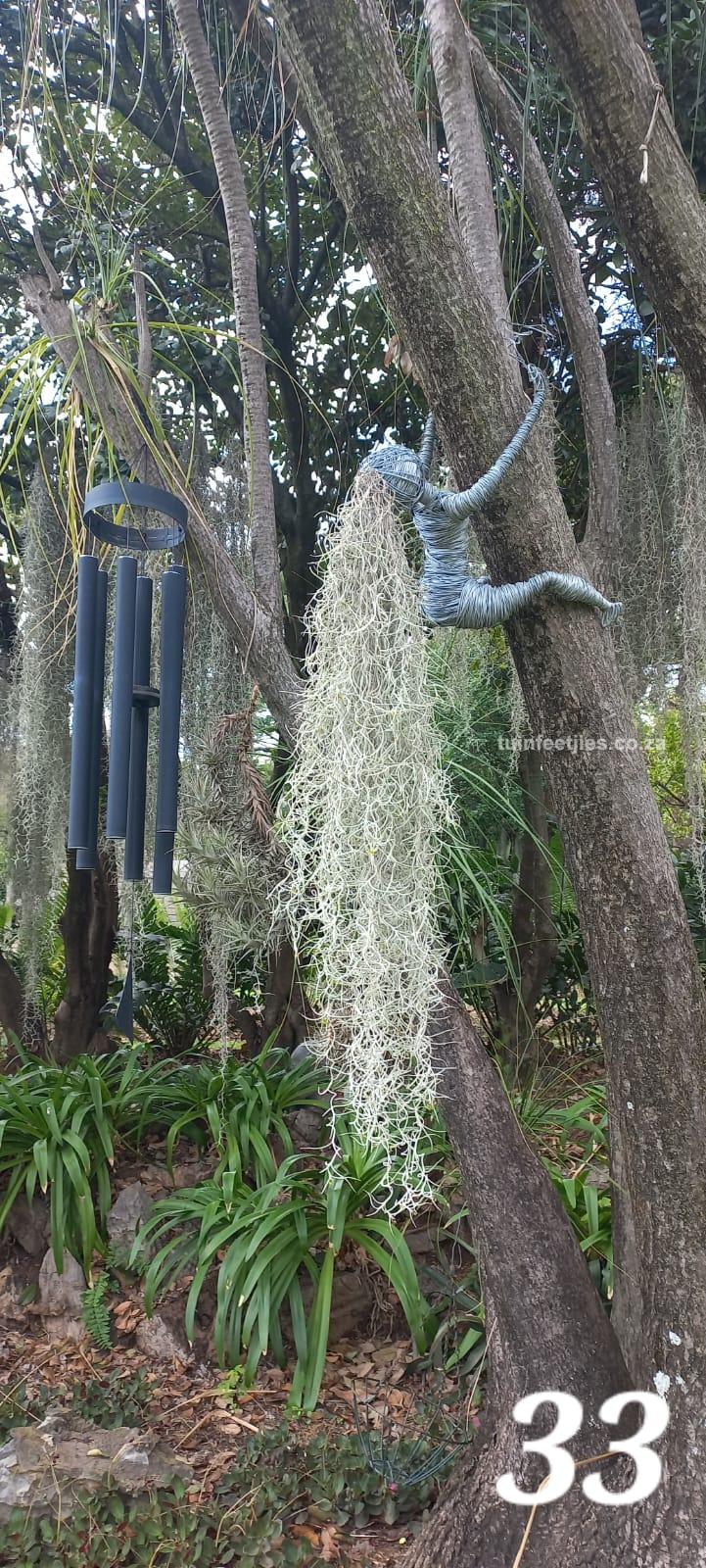 Garden Wire Ferry 33